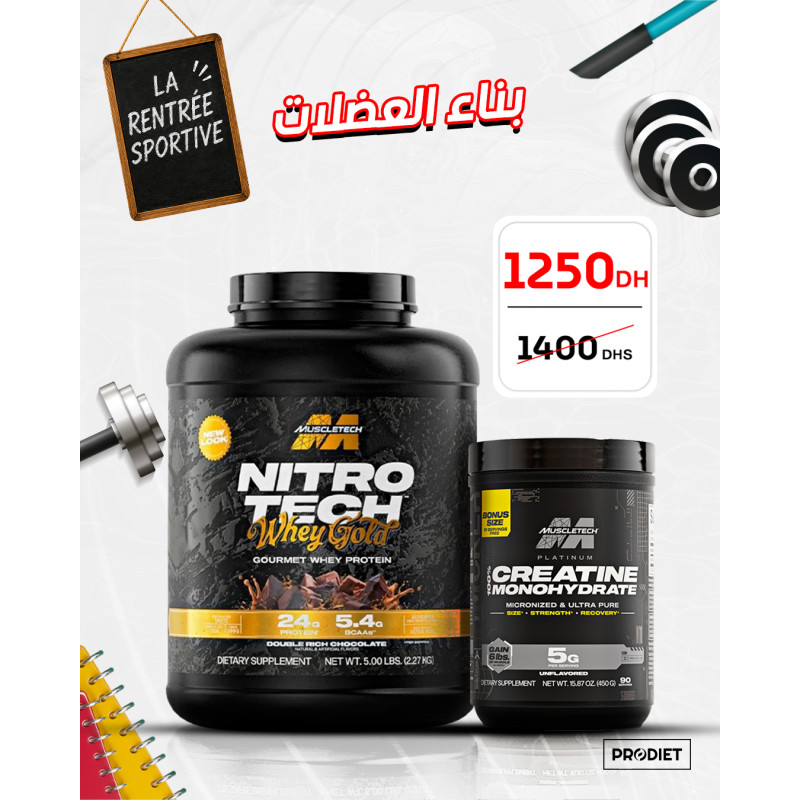 Construction Musculaire