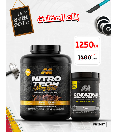 Construction Musculaire
