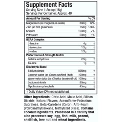 Amino Build Next Gen Energized 281g - Muscletech